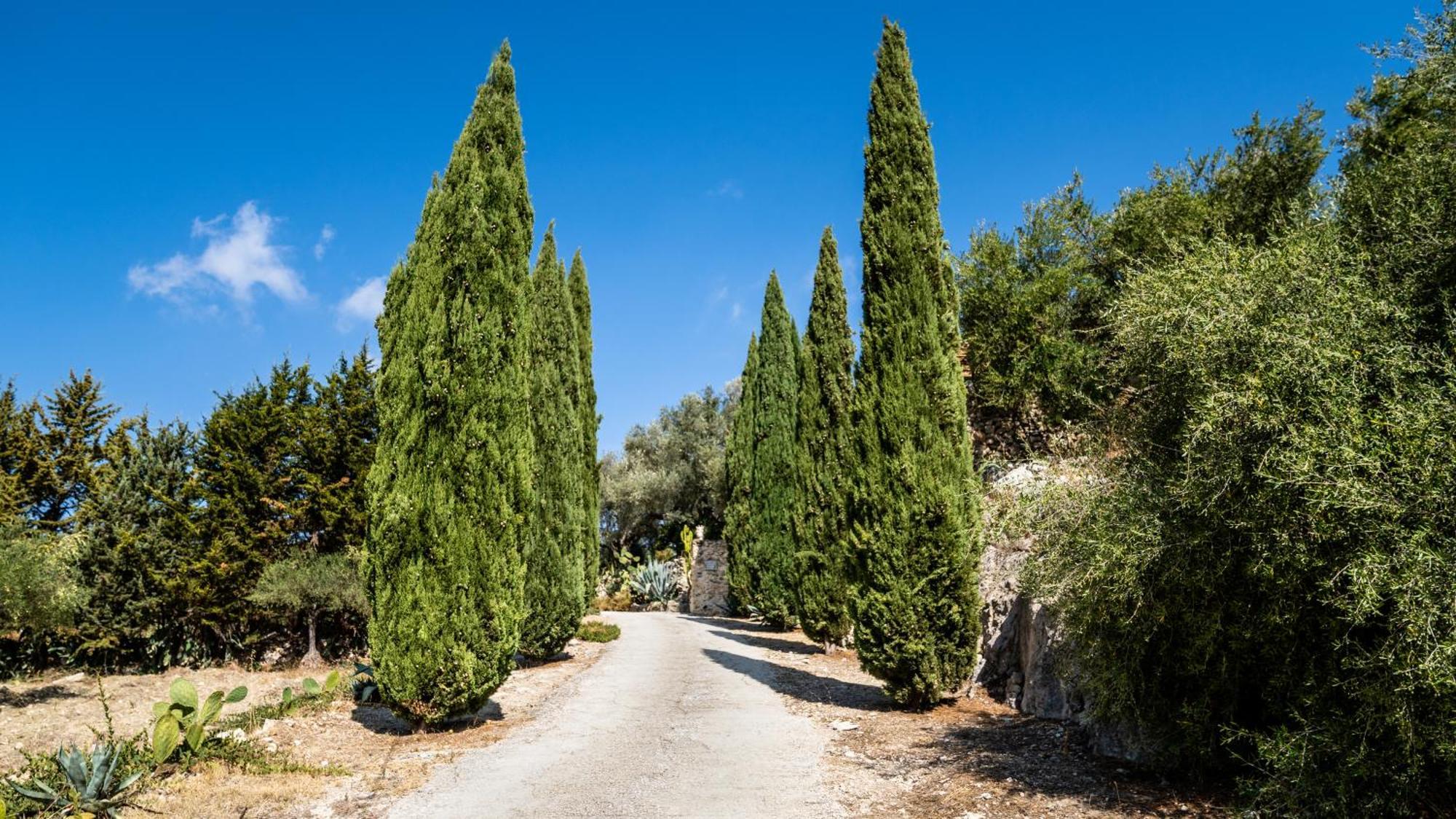 Bed and Breakfast Roba Degli Ulivi Agrigento Exteriér fotografie