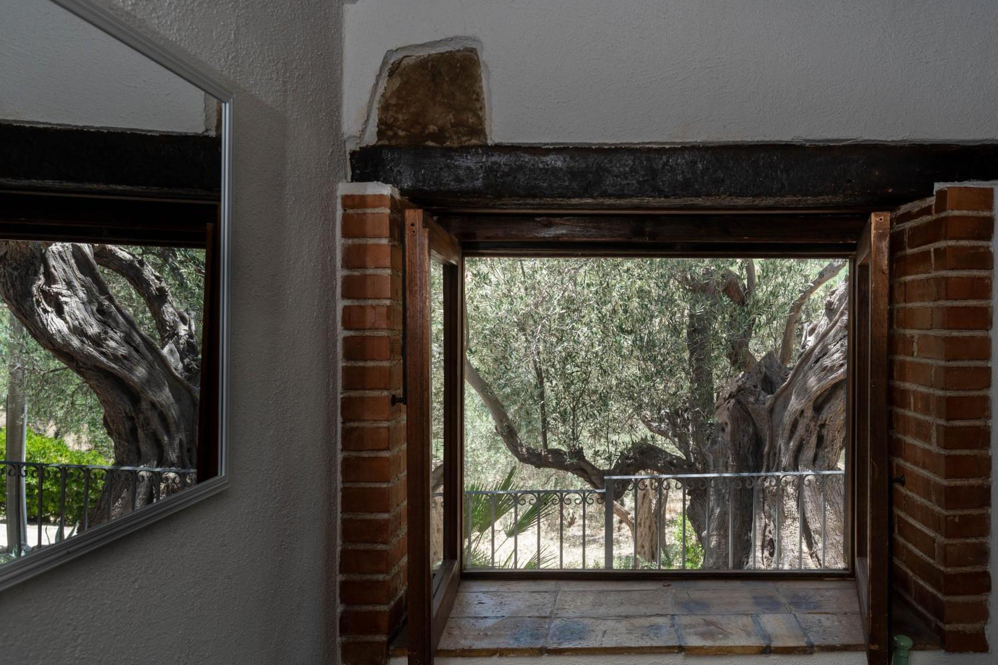 Bed and Breakfast Roba Degli Ulivi Agrigento Exteriér fotografie